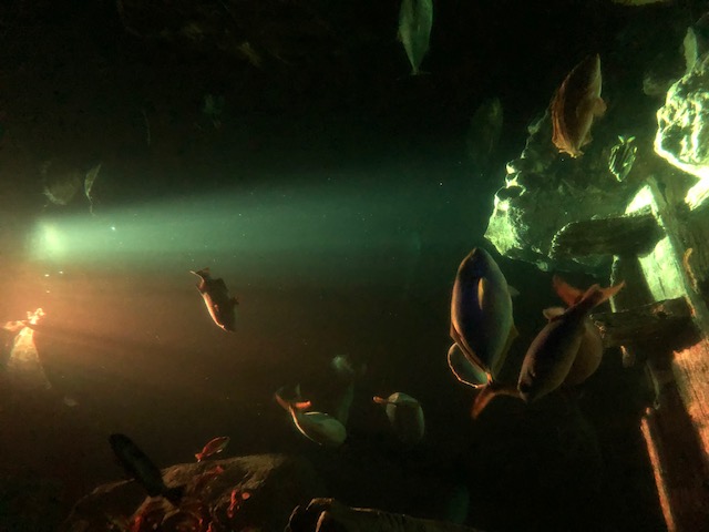 水族館