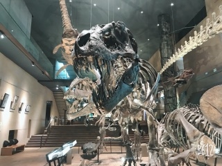 恐竜２