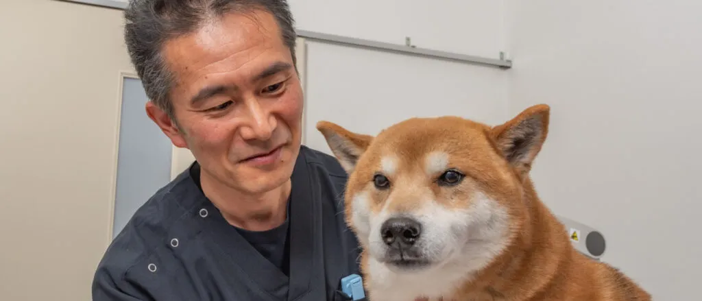 獣医師
