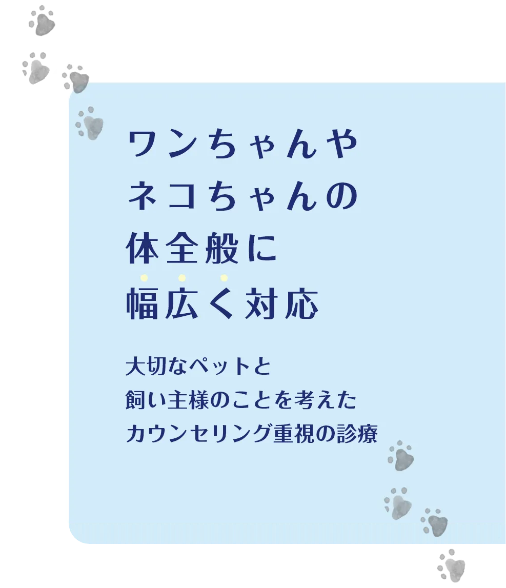ワンちゃんやネコちゃんの体全般に幅広く対応大切なペットと飼い主様のことを考えたカウンセリング重視の診療