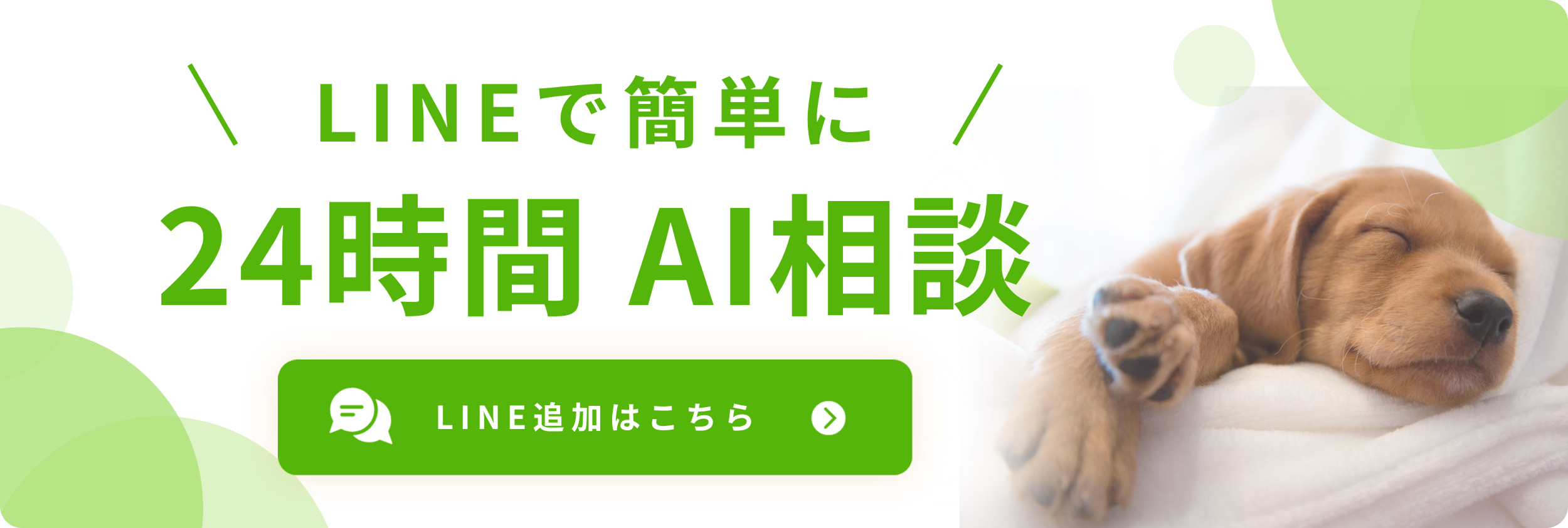 LINE登録はこちら