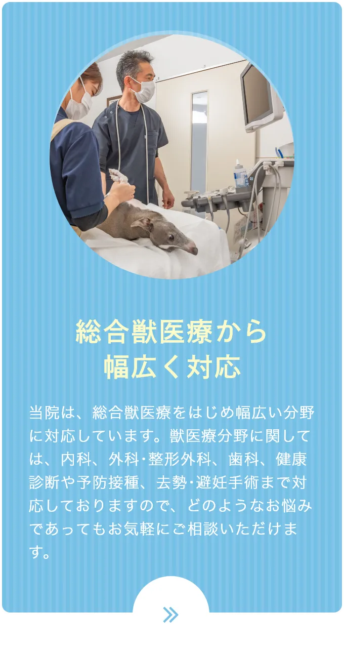総合獣医療から幅広く対応