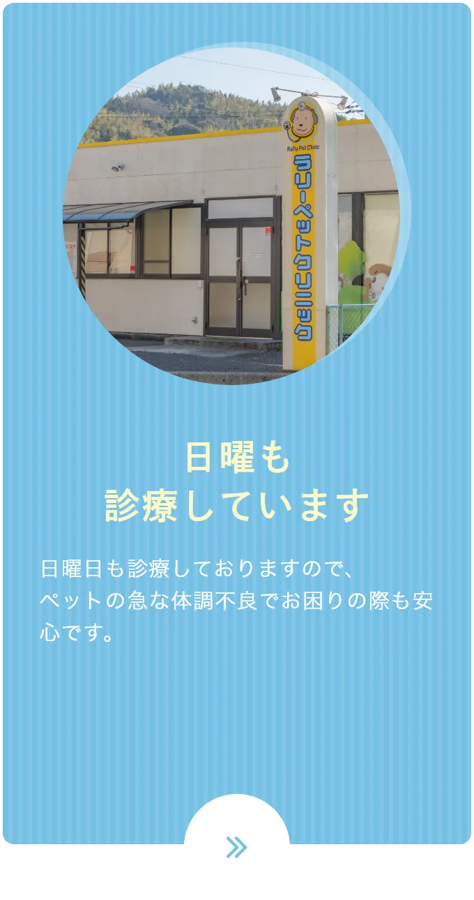 日曜も診療しています