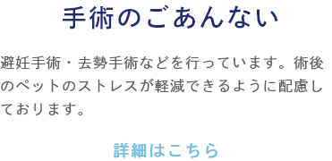 手術のごあんない 避妊手術・去勢手術などを行っています。術後のペットのストレスが軽減できるように配慮しております。