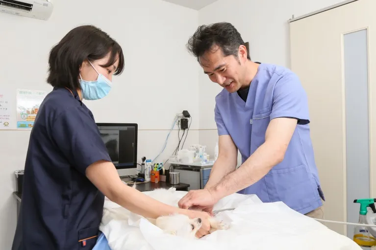 予防接種の重要性